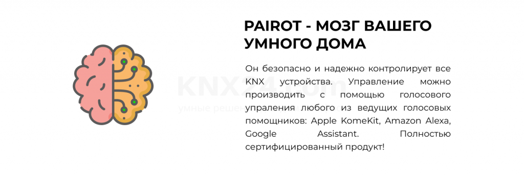 Group 29.png