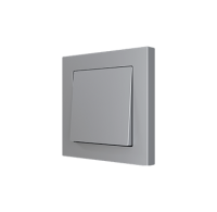 Zennio 830001706 ZS55. Заглушка для одинарного выключателя 55x55 мм - серебристая