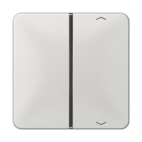 Jung CD 401 TSAP LG Накладка, 1-ная с символами «стрелки»