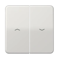 Jung CD 595 P LG Kлавиша, с символам «стрелки», duroplastic, Серия CD, светло-серый