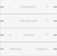 Gira 5034927 Набор клавиш четверн., индивидуально для сенсорного выключателя 4