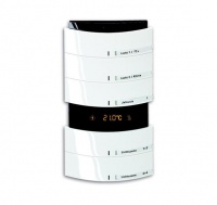 ABB 6321/58-24G-500 Сенсор 5/10-клавишный, терморегулятор, triton, цвет альпийский белый, цвет: Белый, оттенок: Альпийский