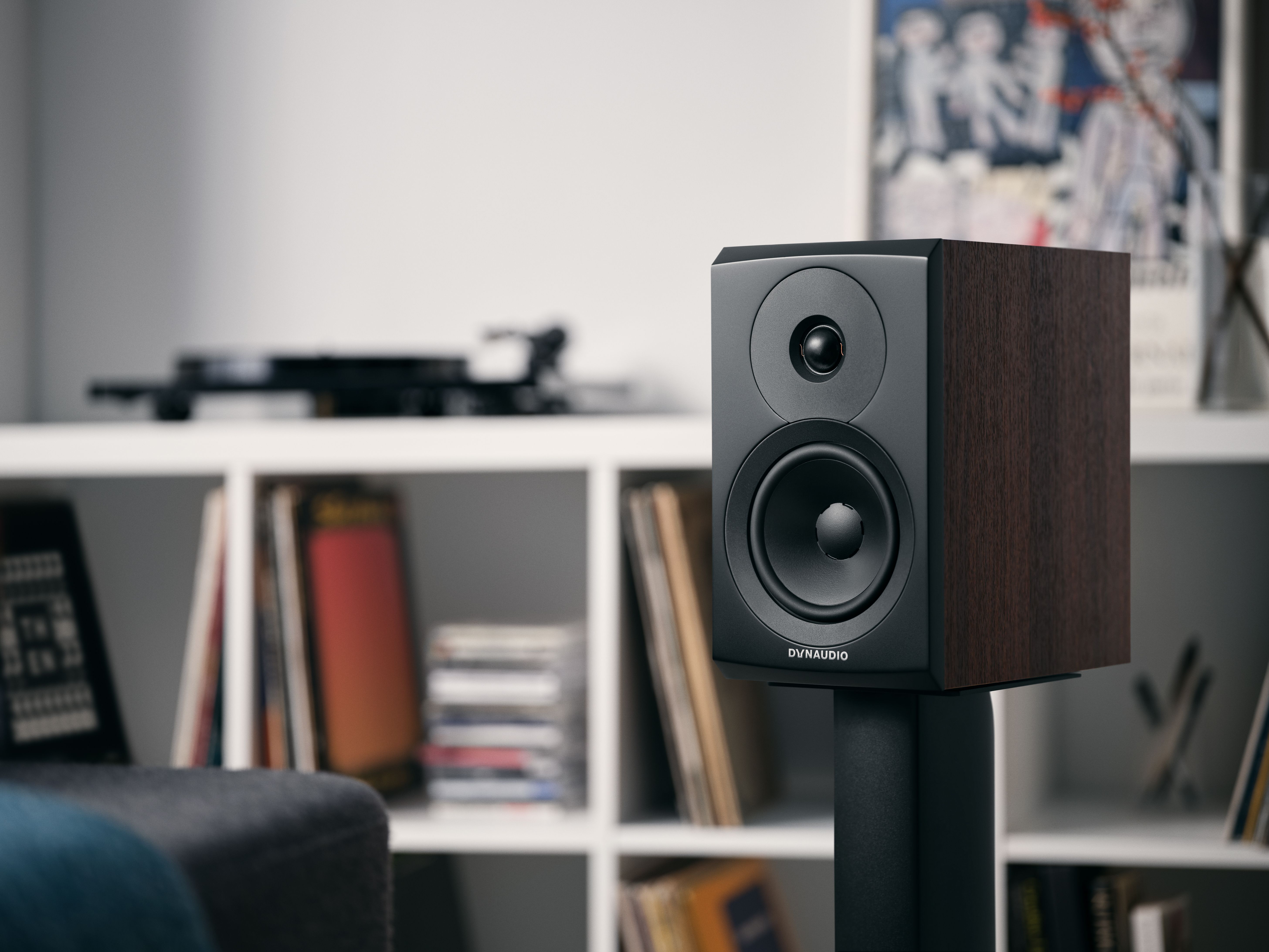 Dynaudio 248576 Полочная акустика Dynaudio New Emit 10 walnut, цвет: Темно - коричневое дерево