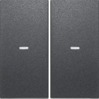 Berker 80960385 Кнопка, 2-канальная, S.1, Easy, цвет: Антрацит, оттенок: Матовый