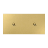 Jung ME 12-200 C R 25 Центральная плата с тумблером «цилиндр», два одиночных тумблера, горизонтальный монтаж, Серия LS 1912, латунь Classic