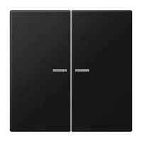 Jung LS 995 KO5 SWM Kлавиша с окошком, Дюропласт лакированный, Серия LS, матовый чёрный графит