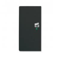 ABB SRS-2-L-885 SRS-2-L-885 Клавиша 2-местная, левая, сцена