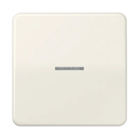 Jung CD 590 KO5 Kлавиша с окошком, duroplastic, Серия CD, слоновая кость