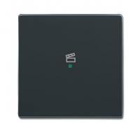 ABB SRS-1-81 SRS-1-81 Клавиша 1-местная, сцена