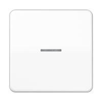 Jung CD 10911 ST RF WW KNX RF кнопка, 1 группа, Цвет: Белый, оттенок: Без оттенка