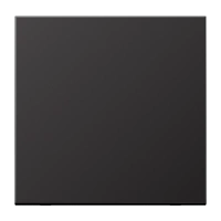 Jung AL 2990 D Kлавиша, aluminium laquered, Серия LS, dark