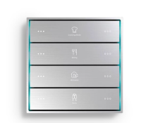 Citron SWRENGSL Умный выключатель KNX RE-new Glacier silver-L SC-TK2-4.8