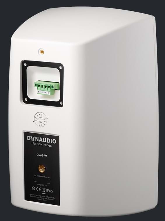 Dynaudio 202552 Настенная акустика Dynaudio OW-6 black, цвет: Чёрный