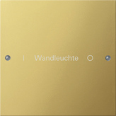 Gira 2131608 Комплект клавиш, 1 шт. ГРАВИРОВКА, цвет: Латунь