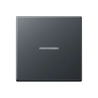Jung A 590 BF KO5 ANM Kлавиша с окошком, thermoplastic lacquered, Серия A, матовый антрацит