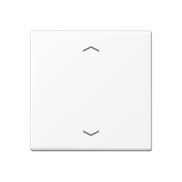 Jung A 101 P BF WWM Клавиша с символами «стрелки»