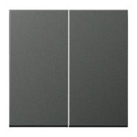 Jung AL 2995 AN Kлавиша, Лакированный алюминий, Серия LS, антрацит