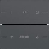 Gira 576228 Набор клавиш двойн., индивидуально для сенсорного выключателя 4 System 55