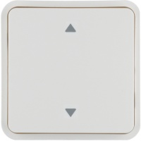 Berker 30653542 Клавиша с оттиском символа «Стрелки», цвет: Белый, оттенок: Полярная белизна, матовый