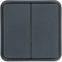 Berker 30553545 Клавиша 2-местная, цвет: Серый, оттенок: Матовый