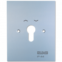 Jung 4.28WUG Металлическая крышка 125x100 мм с символами; алюминий