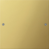 Gira 2131606 Комплект клавиш, 1 шт., цвет: Латунь