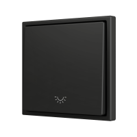 Zennio ZS701PB1LA ZS70, Простая мягкая кнопка для 1 бинарного входа 70x70 мм – Значок подсветки, Антрацит