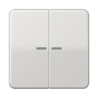 Jung CD 10921 ST RF LG KNX RF кнопка, 2 группы, Цвет: Серый, оттенок: Светлый