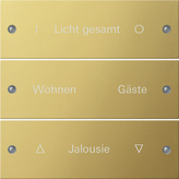 Gira 2133608 Комплект клавиш, 3 шт. ГРАВИРОВКА, цвет: Латунь