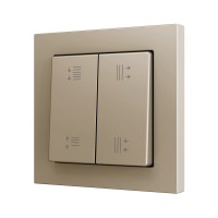 Zennio ZS552PB4CC ZS55, Двойная мягкая кнопка для 4 бинарных входов 55x55 мм – Шампанское – На заказ