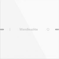 Gira 5031903 Набор клавиш одинарн., индивидуально для сенсорного выключателя 4