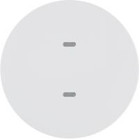 Berker 80161869 Клавишный сенсор «Комфорт», R.x, цвет: Белый, оттенок: Полярная белизна, глянцевый