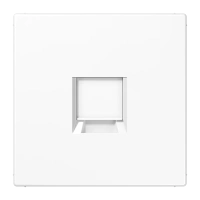 Jung LS 1969-1 WE WW Kрышка (креплением шурупами) для гнезд модульного разъема, 1 группа, UMA-CAT6A, RADIALL, Panduit, Assmann, Серия LS, белый