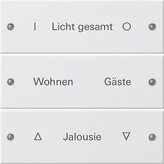 Gira 220327 Набор клавиш 3-местный, с возможностью нанесения надписей, цвет: Белый, оттенок: Матовый, лакированный
