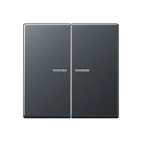 Jung A 595 BF KO5 ANM Kлавиша с окошком, Лакированный термопласт, Серия A, матовый антрацит