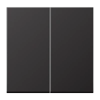 Jung AL 2995 D Kлавиша, Лакированный алюминий, Серия LS, dark