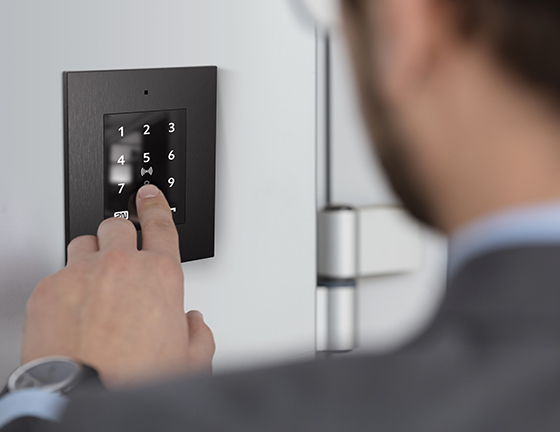 2N 9160336-S 2N® Access Unit 2.0 Сенсорная клавиатура и RFID,  (secured)