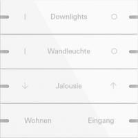 Gira 5034903 Набор клавиш четверн., индивидуально для сенсорного выключателя 4