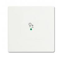 ABB SRD-1-884 SRD-1-884 рокер 1-клавишный диммирующий