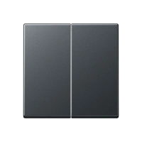 Jung A 595 BF ANM Kлавиша, Лакированный термопласт, Серия A, матовый антрацит