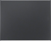 Berker 75940275 Заглушка, K.1, цвет: антрацитовый, матовый, цвет: Антрацит, оттенок: Матовый