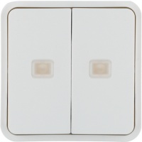 Berker 30863552 Клавиша 2-местная с прозрачной линзой, цвет: Белый, оттенок: Полярная белизна, матовый