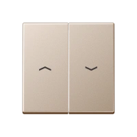 Jung A 595 P CH Kлавиша, с символам «стрелки», duroplastic lacquered, Серия A, цвет шампанского