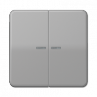 Jung CD 10921 ST RF GR KNX RF кнопка, 2 группы, Цвет: Серый, оттенок: Без оттенка