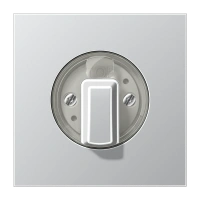 Jung AL 1941 Kрышка для поворотного выключателя, Серия LS, алюминий