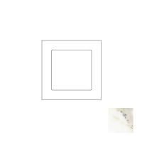 Tense SOCKSCM1 Розетка с рамкой Socket Stone Calacatta Marble 1F, цвет: Белый