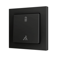 Zennio ZS551PB2AC ZS55, Простая мягкая кнопка для 2 бинарных входов 55x55 мм – Антрацит – На заказ