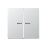 Jung A 595 KO5 AL Kлавиша с окошком, duroplastic lacquered, Серия A, алюминий