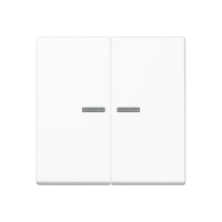 Jung A 595 KO5 WW Kлавиша с окошком, duroplastic, Серия A, white