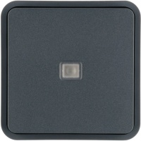 Berker 30863545 Клавиша с линзой, цвет: Серый, оттенок: Матовый